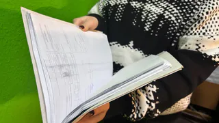 В Воронежской области власти выявили множество фальсификаций деклараций на зерно