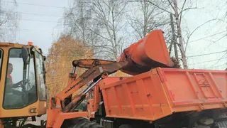 Коммунальщики Воронежа активизировали работу по сбору пескосмёта и листвы